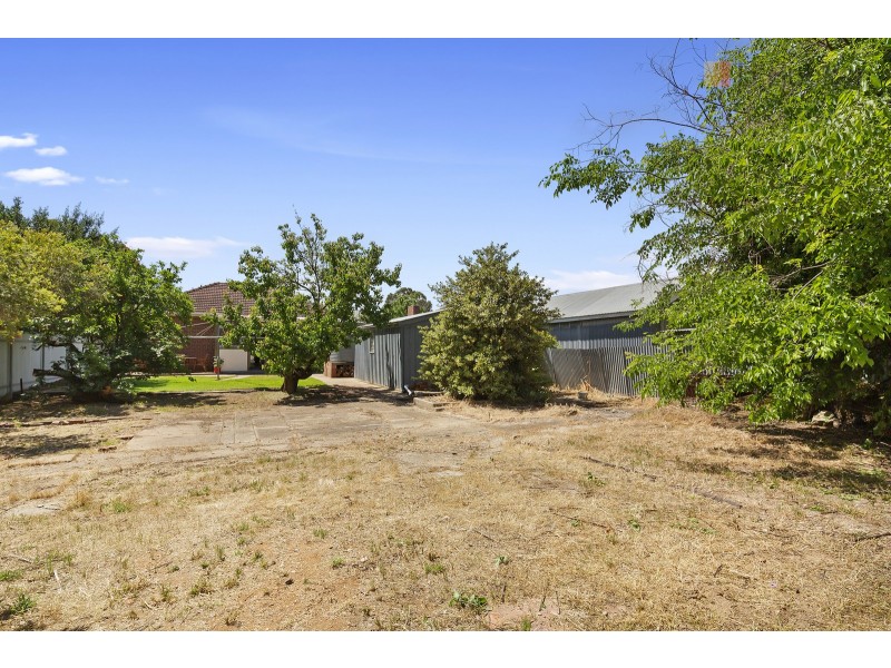 62 Angus Avenue, Edwardstown SA 5039