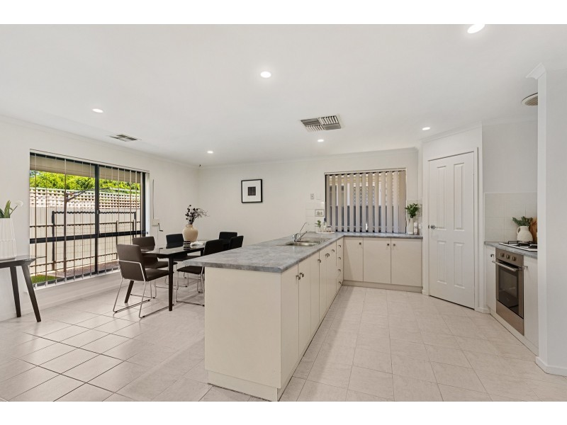 31 Whelan Avenue, Camden Park SA 5038