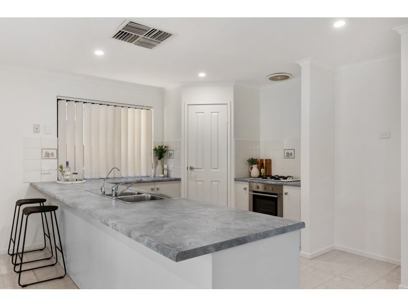 31 Whelan Avenue, Camden Park SA 5038