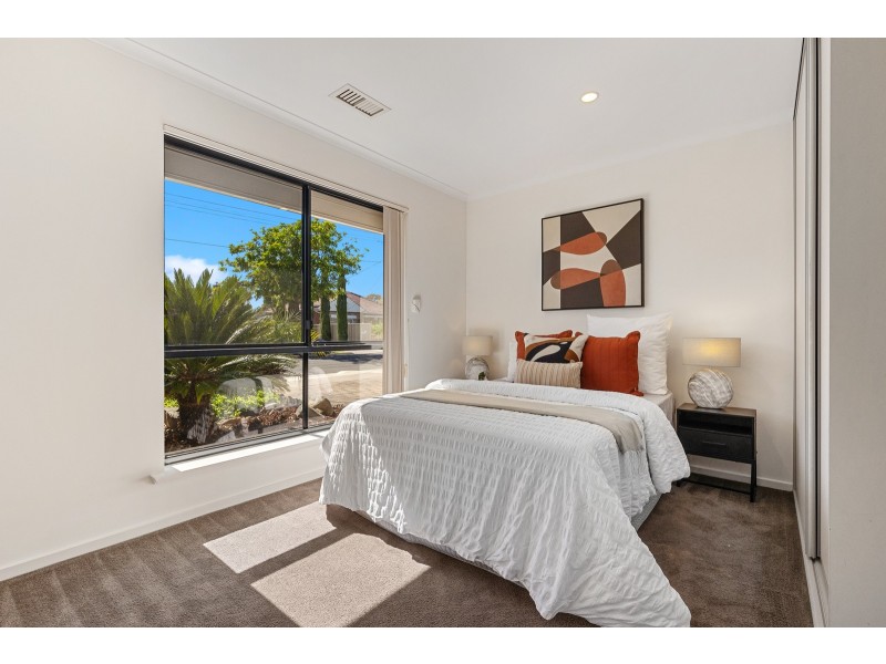 31 Whelan Avenue, Camden Park SA 5038