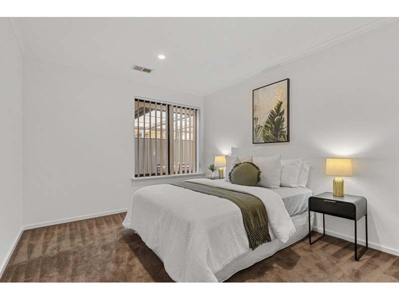31 Whelan Avenue, Camden Park SA 5038