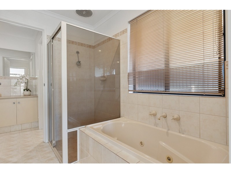 31 Whelan Avenue, Camden Park SA 5038