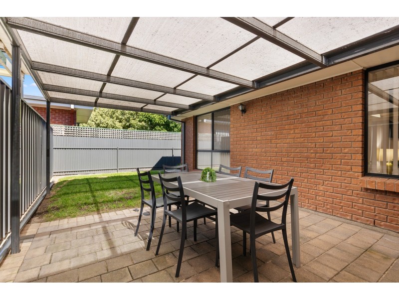 31 Whelan Avenue, Camden Park SA 5038