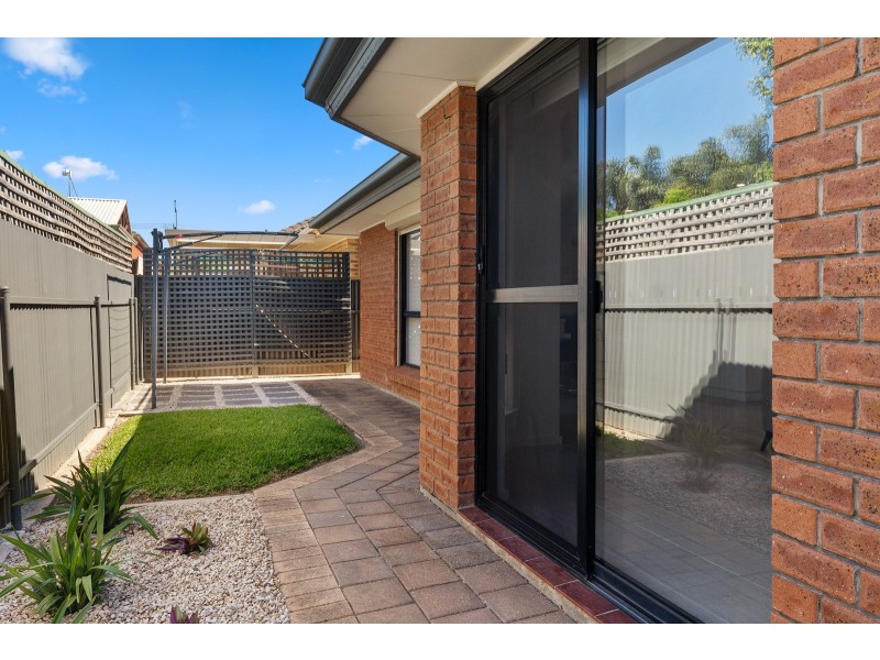 31 Whelan Avenue, Camden Park SA 5038