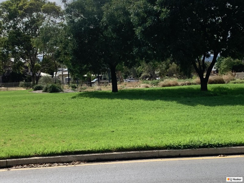 21 Rosedale Avenue, Morphettville SA 5043