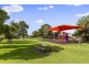 27 Ansett Avenue, Netley SA 5037