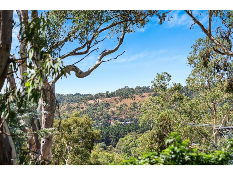 18 Winns Road, Coromandel Valley SA 5051