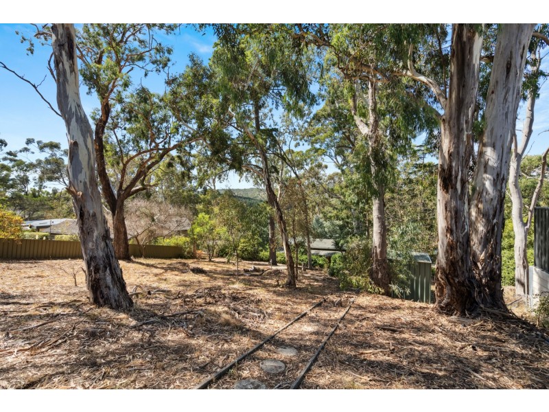 18 Winns Road, Coromandel Valley SA 5051