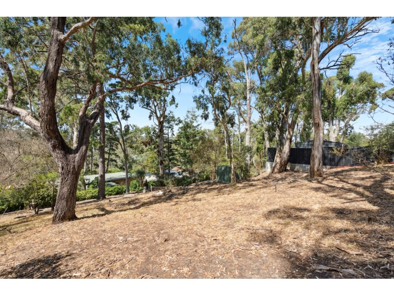 18 Winns Road, Coromandel Valley SA 5051