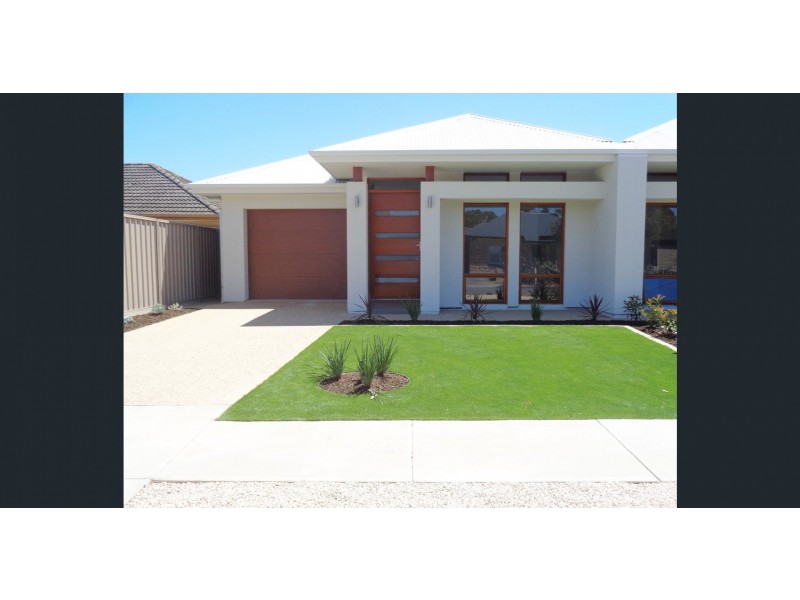 13 Cedar Avenue, Warradale SA 5046