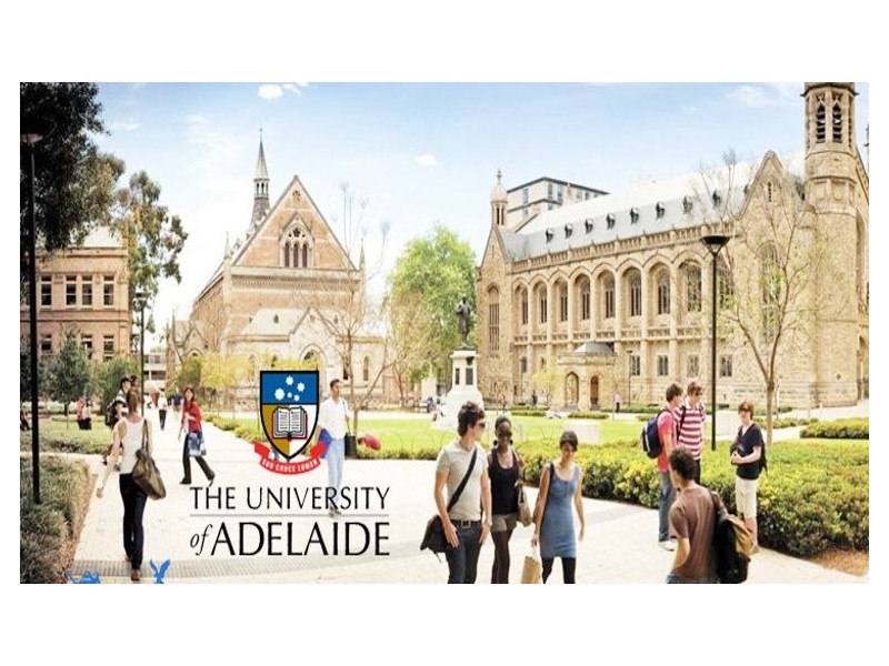 1210/180 Morphett Street, Adelaide SA 5000