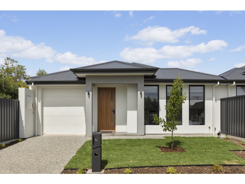 1B Struan Avenue, Warradale SA 5046