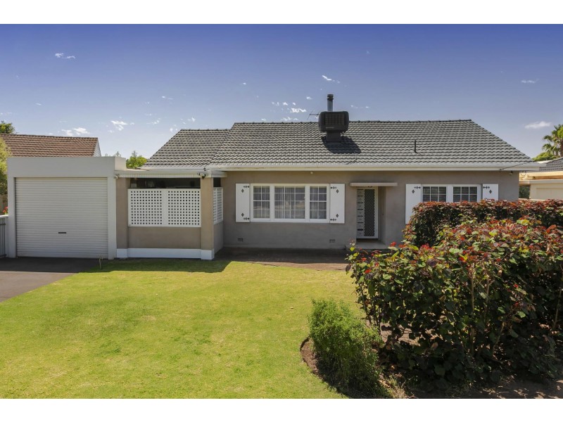 13 Raymond Grove, Warradale SA 5046