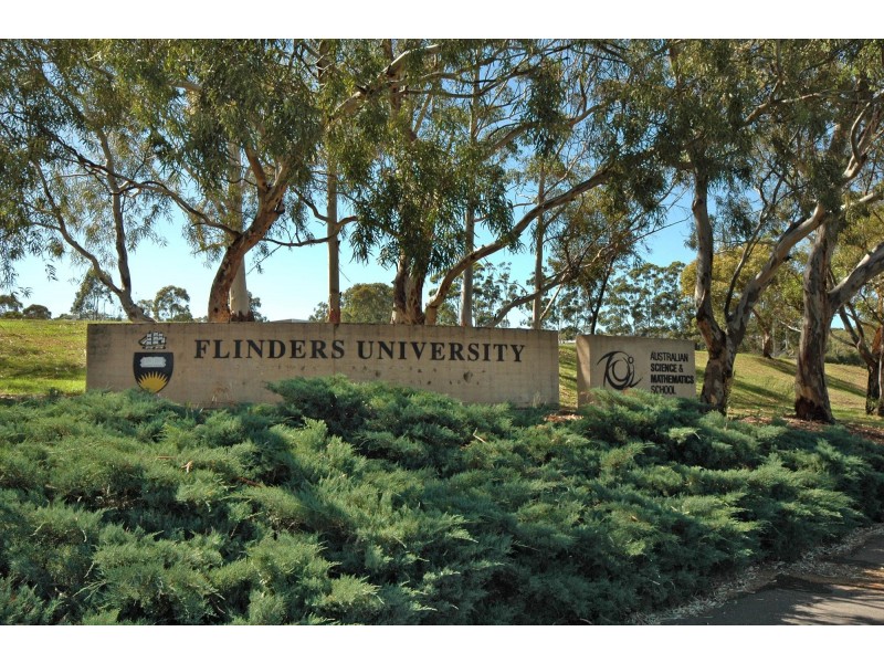 6A Duncan Street, Sturt SA 5047