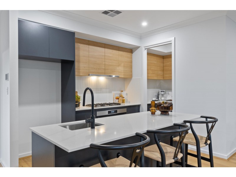 3 Gangara Avenue, Warradale SA 5046