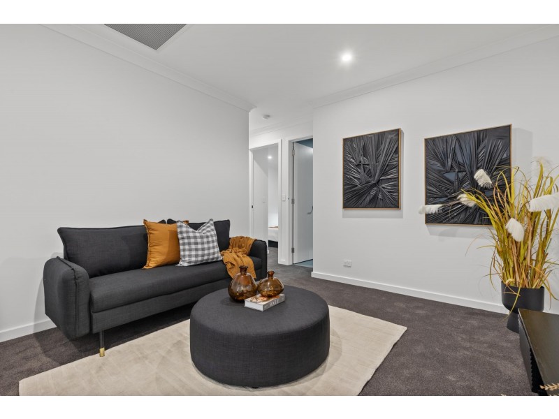 3 Gangara Avenue, Warradale SA 5046