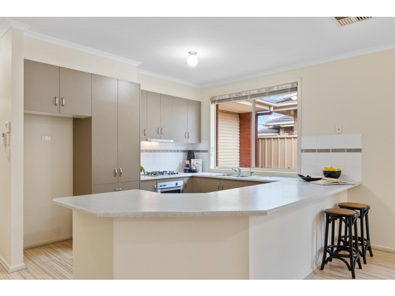 38 Gray Street, Plympton SA 5038