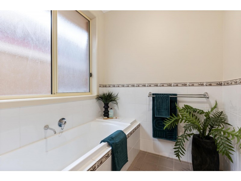 38 Gray Street, Plympton SA 5038