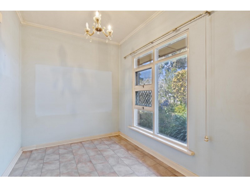 7 Pine Avenue, Warradale SA 5046