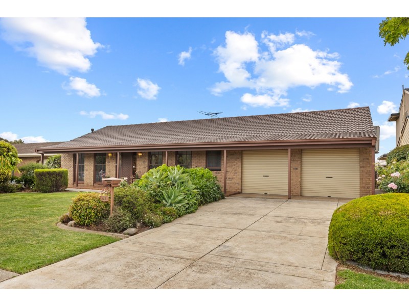 64 Spruce Avenue, Warradale SA 5046