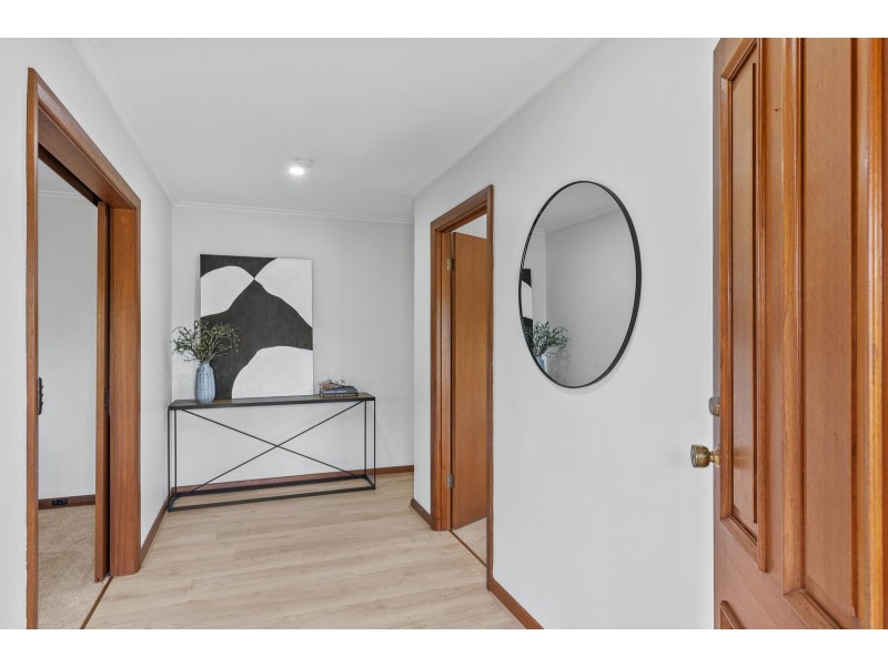 64 Spruce Avenue, Warradale SA 5046