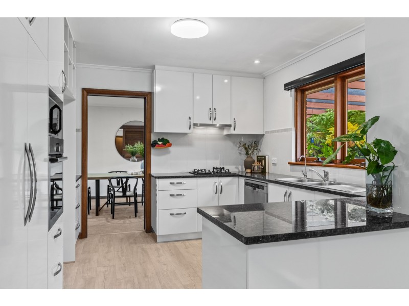 64 Spruce Avenue, Warradale SA 5046