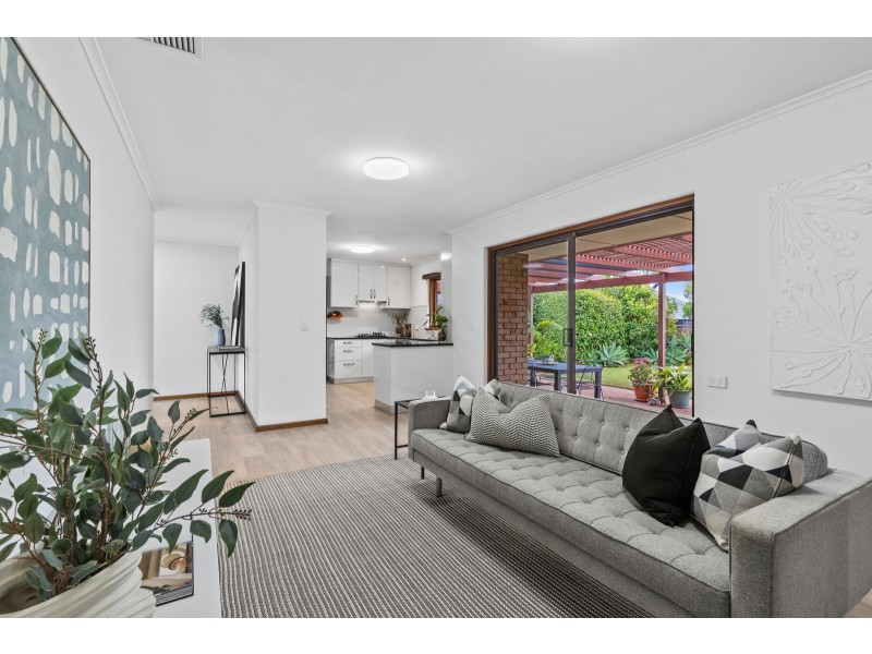 64 Spruce Avenue, Warradale SA 5046