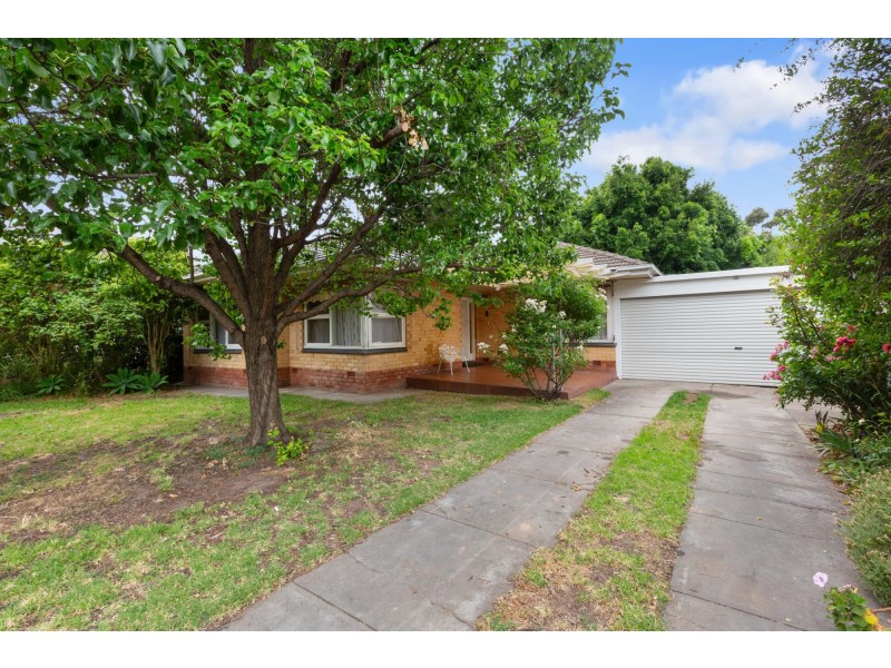 24 Elese Avenue, Campbelltown SA 5074