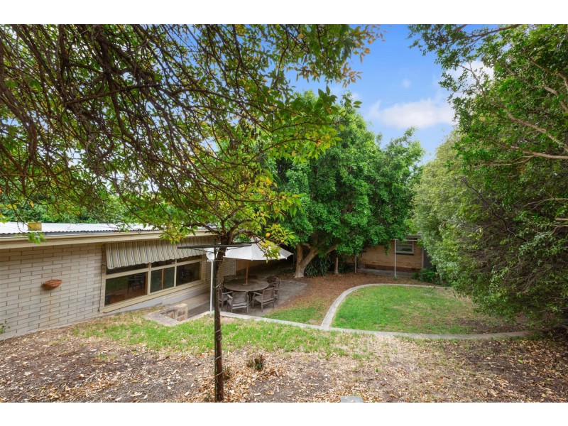 24 Elese Avenue, Campbelltown SA 5074