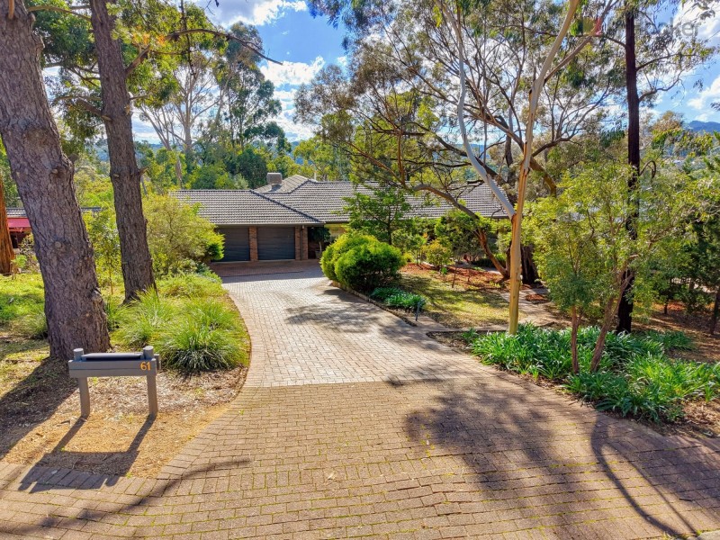 61 Light Road, Coromandel Valley SA 5051
