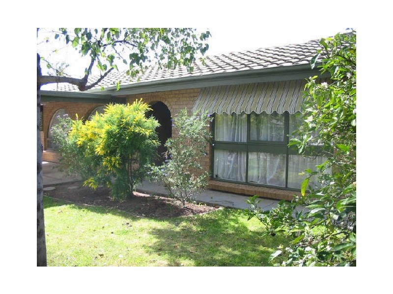 17 Owen Street, Morphettville SA 5043