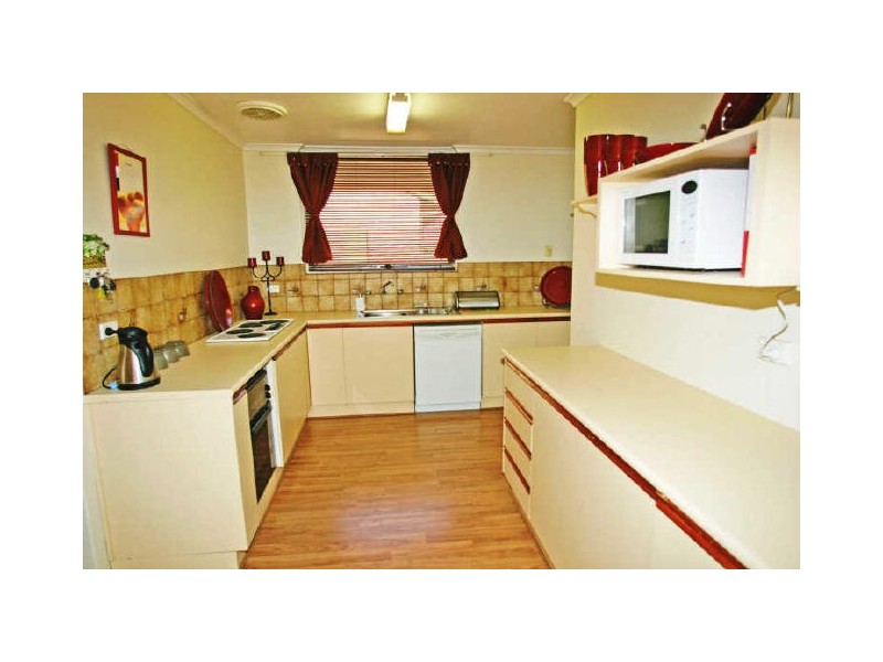 17 Owen Street, Morphettville SA 5043