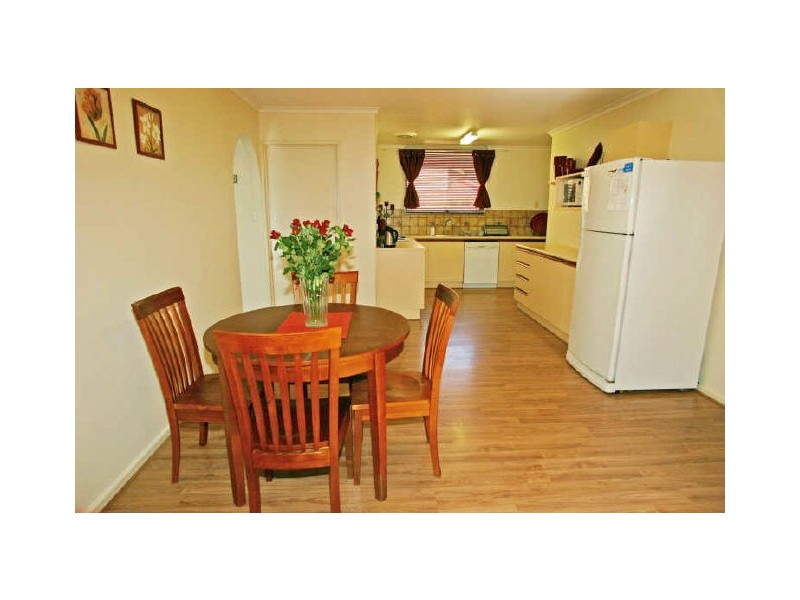 17 Owen Street, Morphettville SA 5043