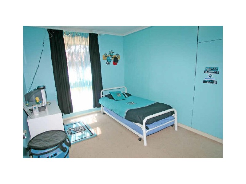 17 Owen Street, Morphettville SA 5043