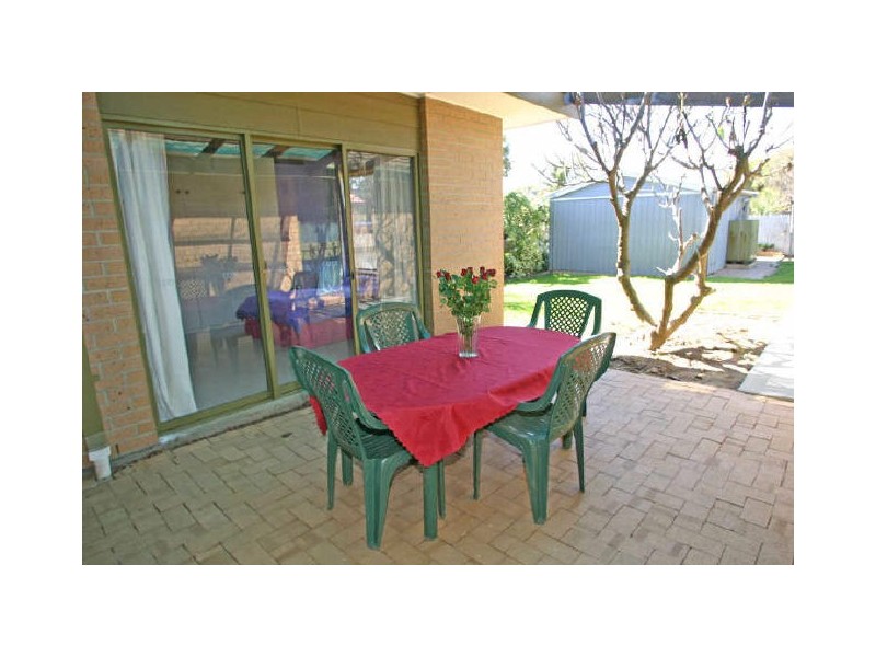 17 Owen Street, Morphettville SA 5043