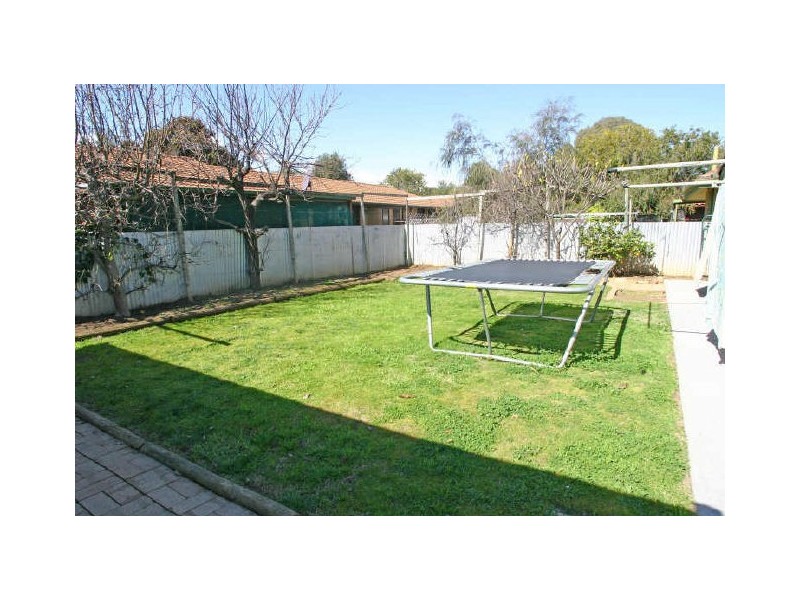 17 Owen Street, Morphettville SA 5043