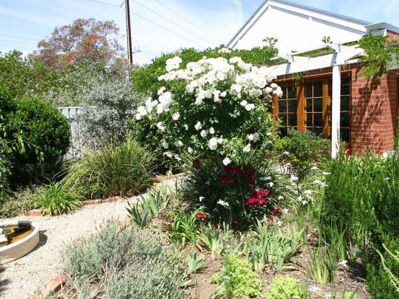 29 Hendrie Street, Morphettville SA 5043