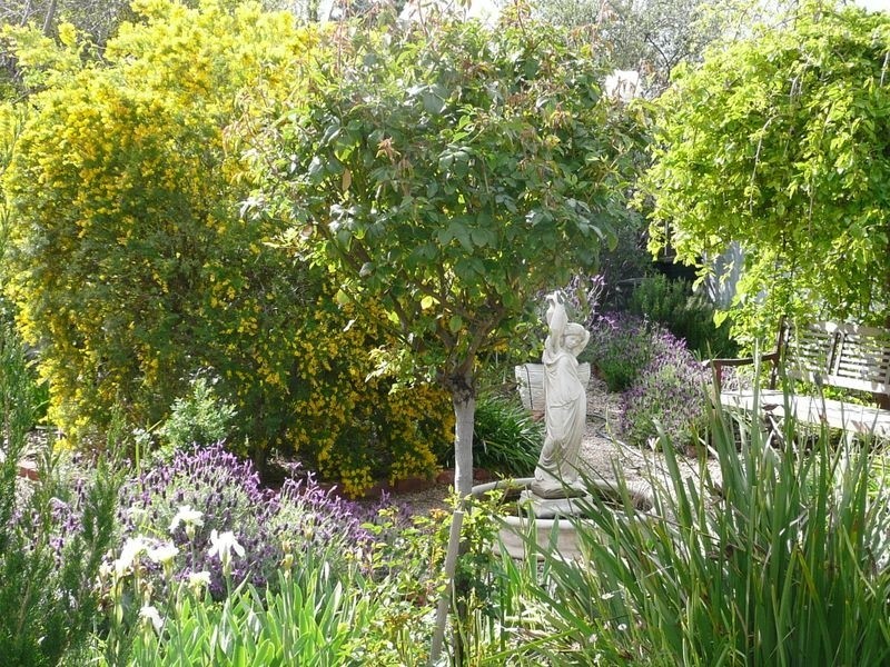 29 Hendrie Street, Morphettville SA 5043