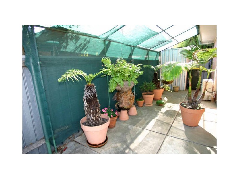 5/10 Lindsay Street, Camden Park SA 5038