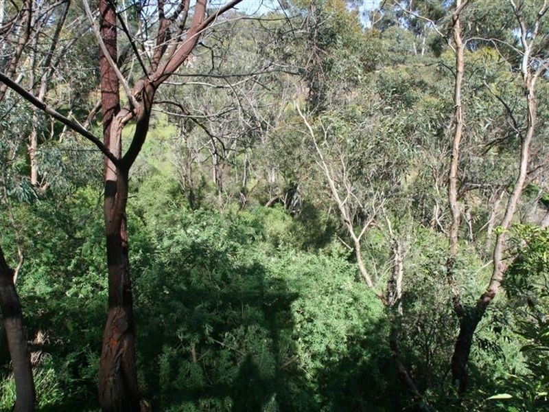 31A Willora Road, Eden Hills SA 5050