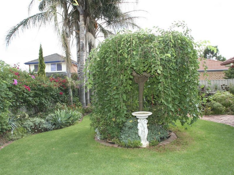 20 Lord Howe Avenue, Oakden SA 5086