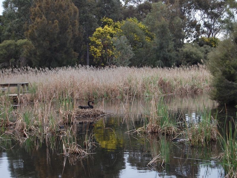 48 Gibson Street, West Beach SA 5024