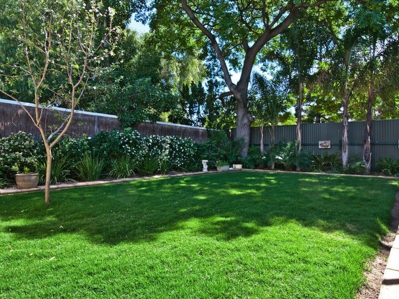 55 Alison Street, Glenelg North SA 5045