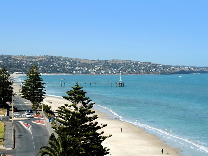 20 Wattle Avenue, Hove SA 5048