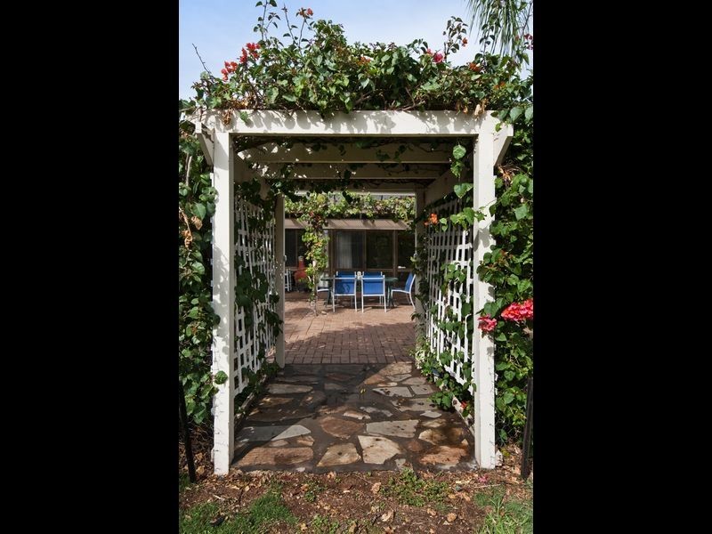 20 Wattle Avenue, Hove SA 5048