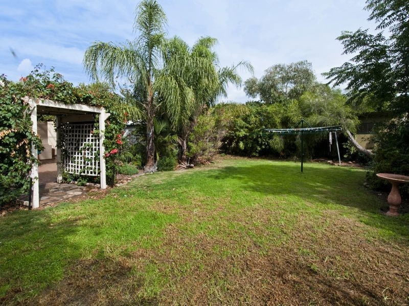 20 Wattle Avenue, Hove SA 5048