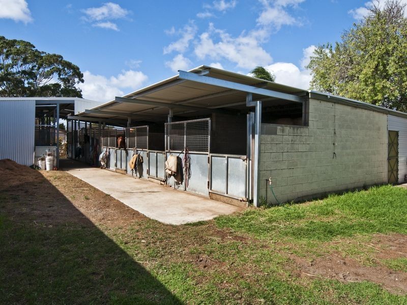 14 Ellis Avenue, Morphettville SA 5043