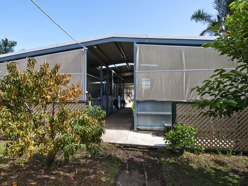 14 Ellis Avenue, Morphettville SA 5043