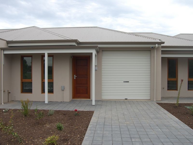 25 Rosedale Avenue, Morphettville SA 5043