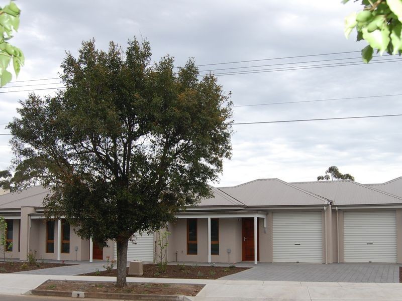 25 Rosedale Avenue, Morphettville SA 5043